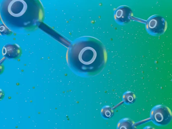 20241008134139 20241008134139