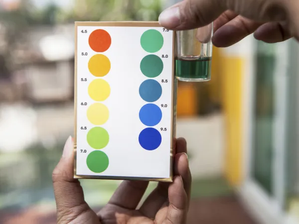 20241008134204 20241008134204